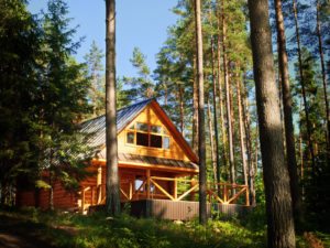 Log Home Restoration VA, TN, WV