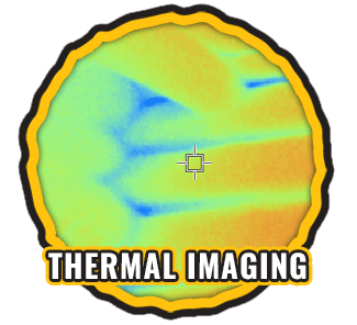 Log Home Thermal Imaging