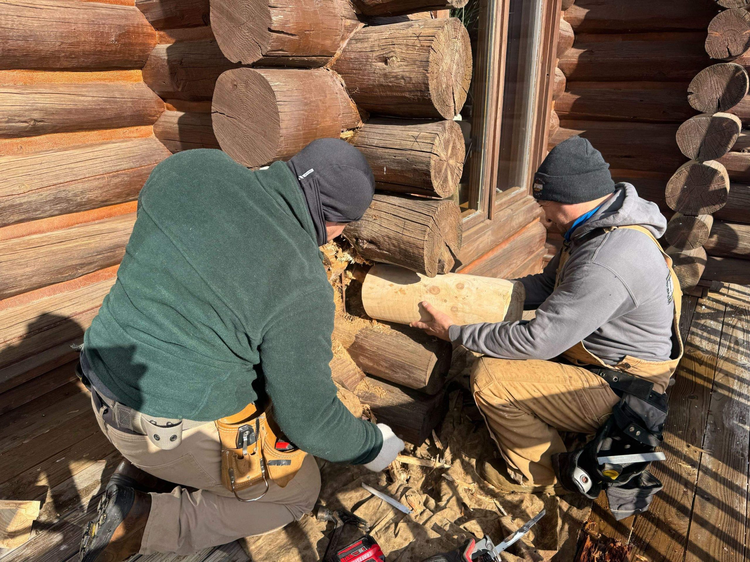 Log rot repair from moisture damage
